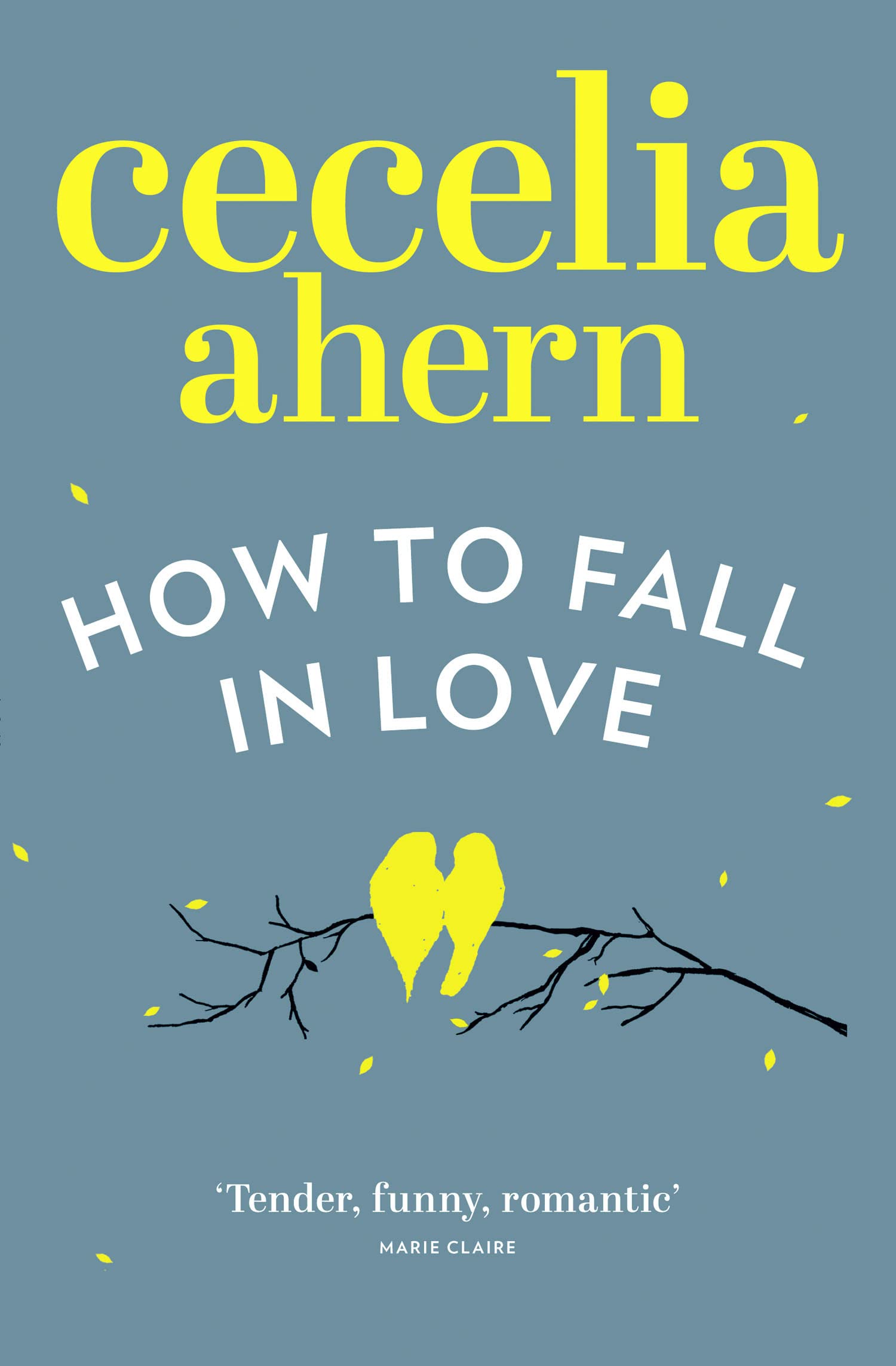 How-to-Fall-in-Love-by-Cecelia-Ahern