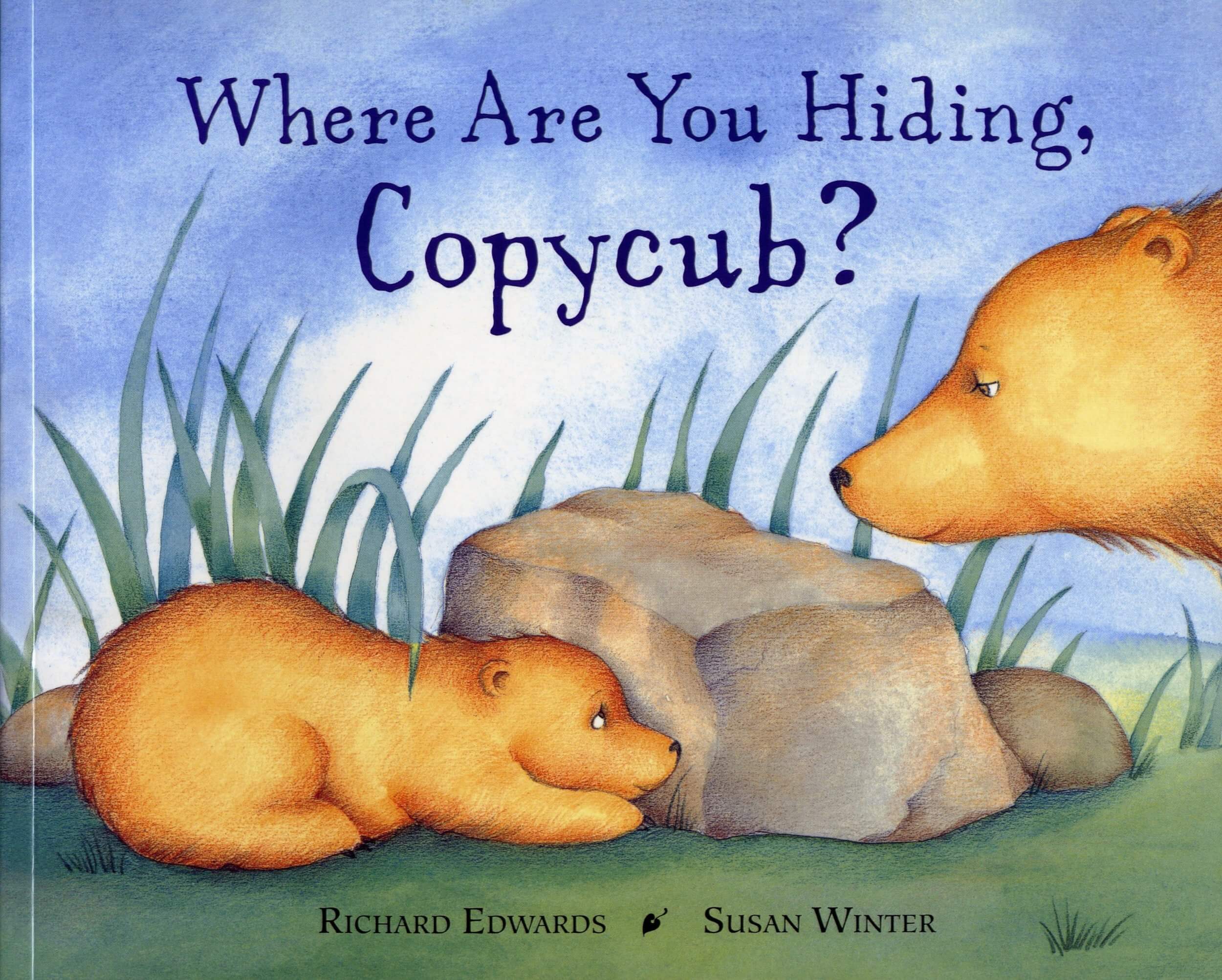 Where-are-you-hiding-copycub-by-Susan-winter-Richard-edwards